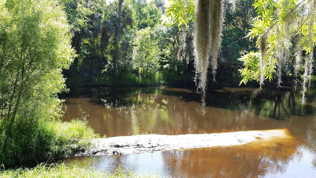 Paynes Creek Historic State Park