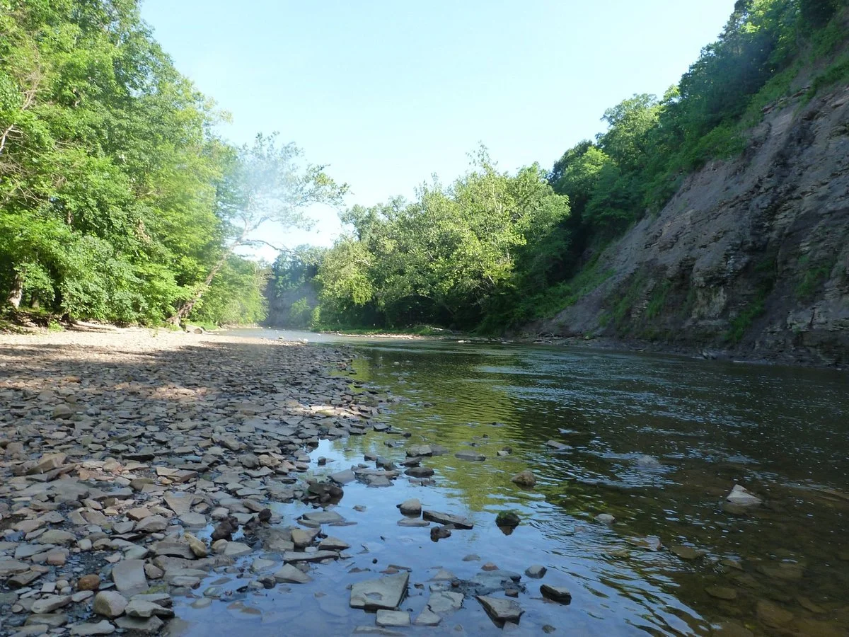 Mill Hollow-Bacon Woods Memorial Park