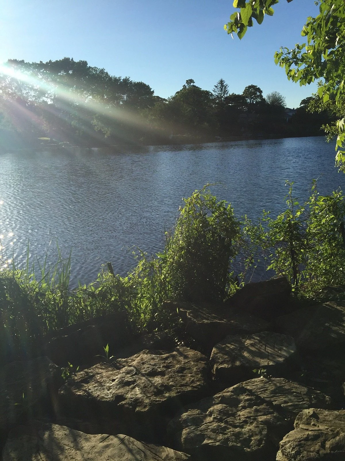 Marjorie R. Post Community Park