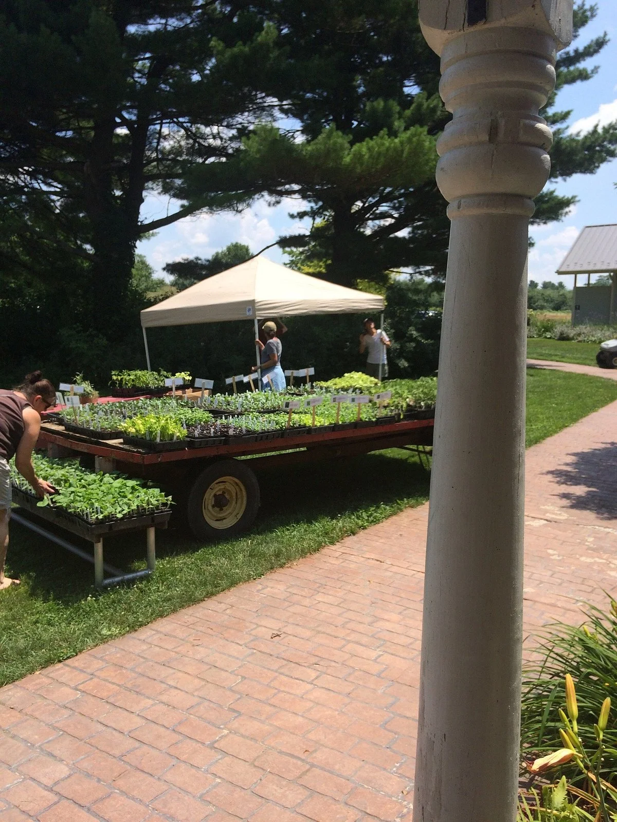Rodale Institute Farm
