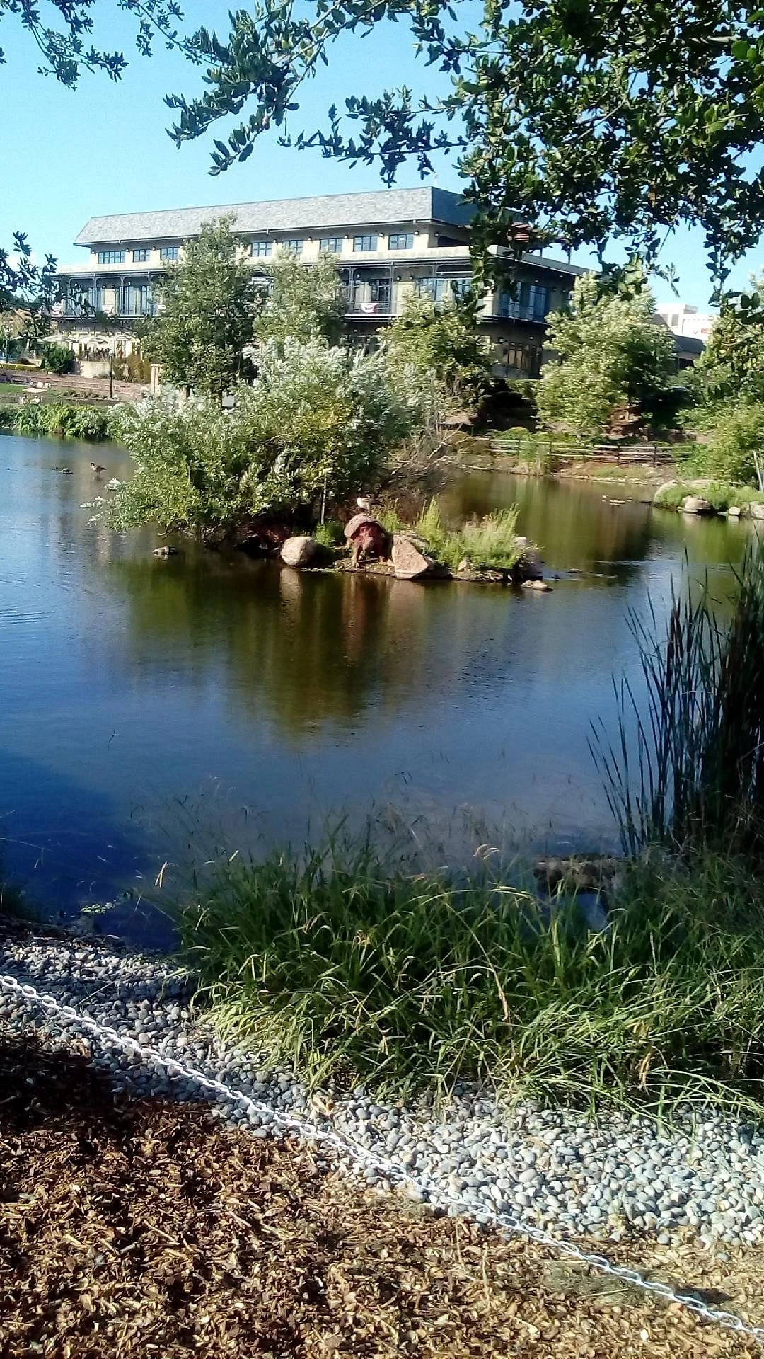 El Dorado Hills Town Center