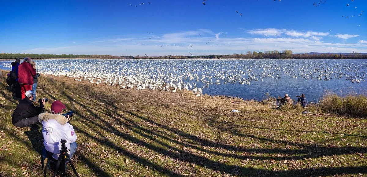 Réservoir Beaudet
