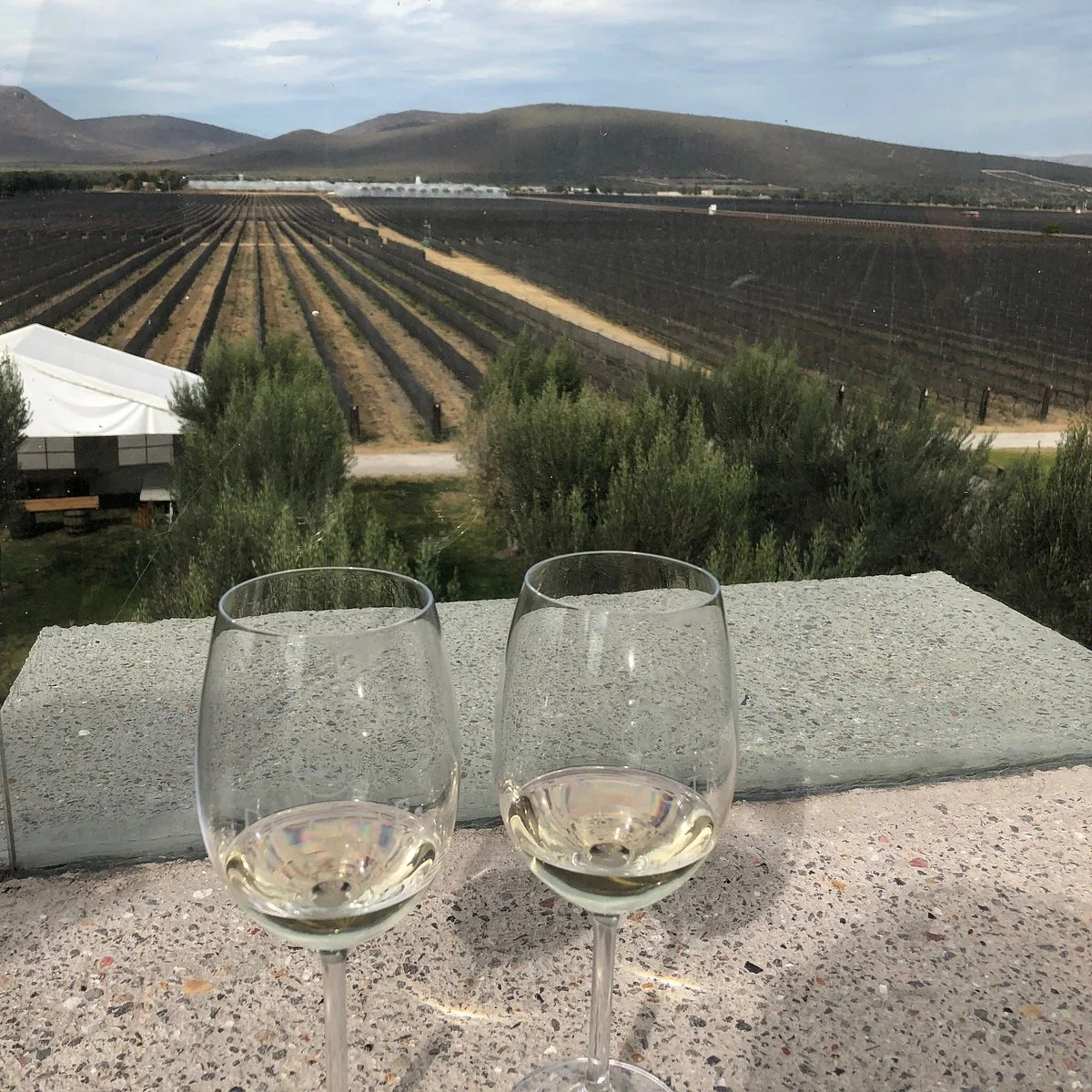 De Cote Casa Vitivinicola