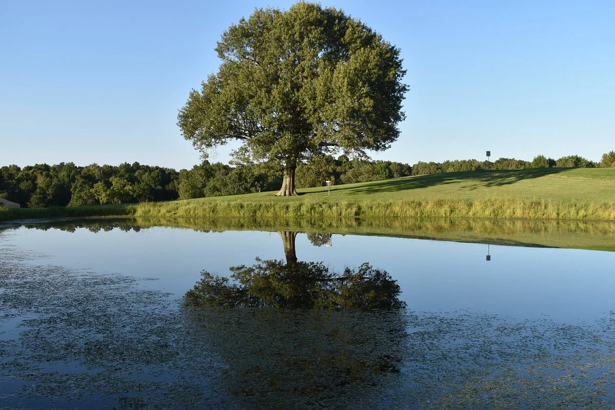 Mahr Park Arboretum