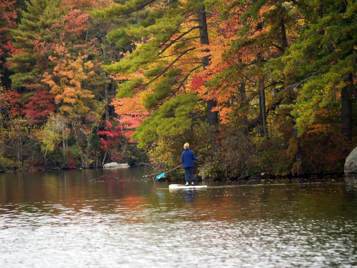 Pawtuckaway State Park