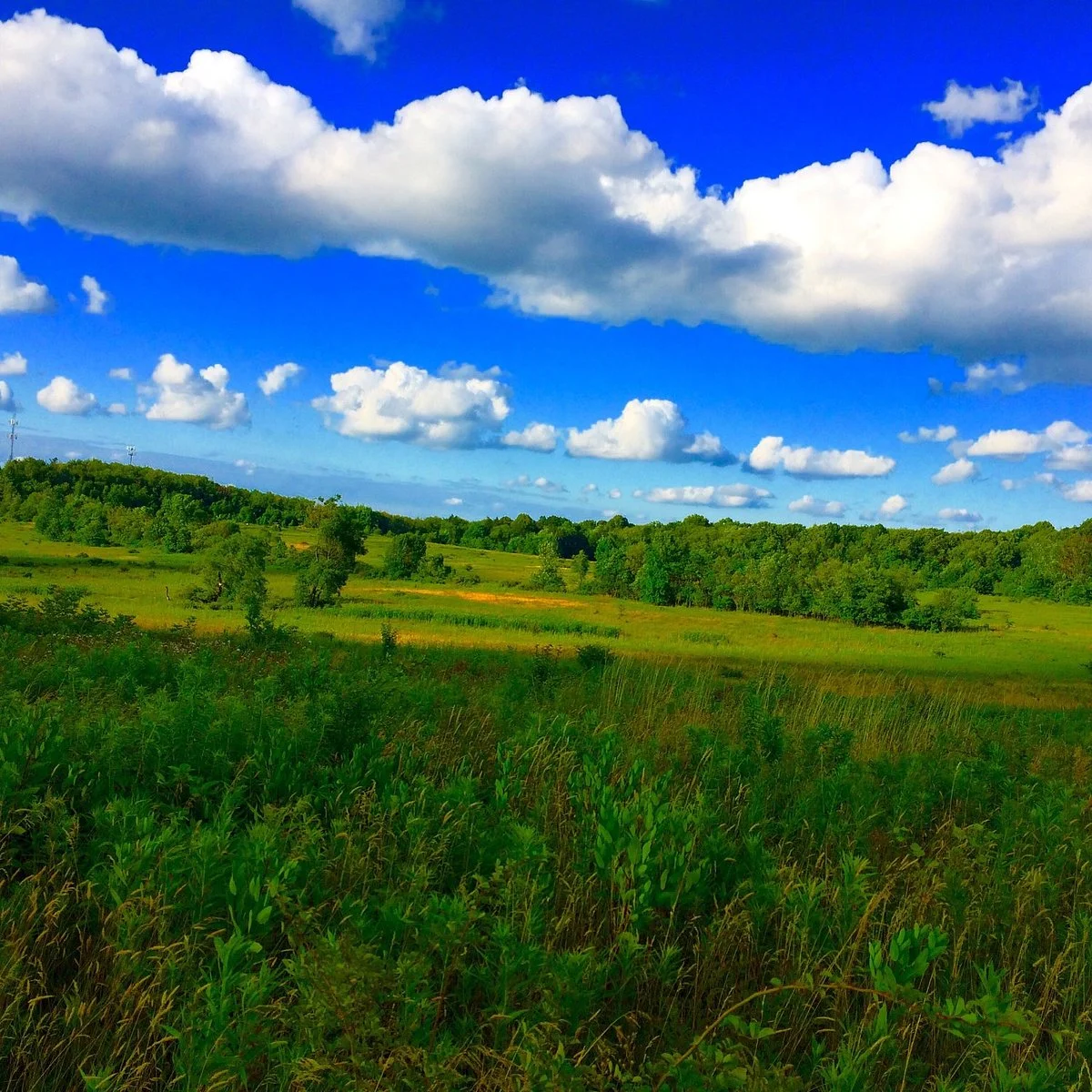 Summit Metro Parks