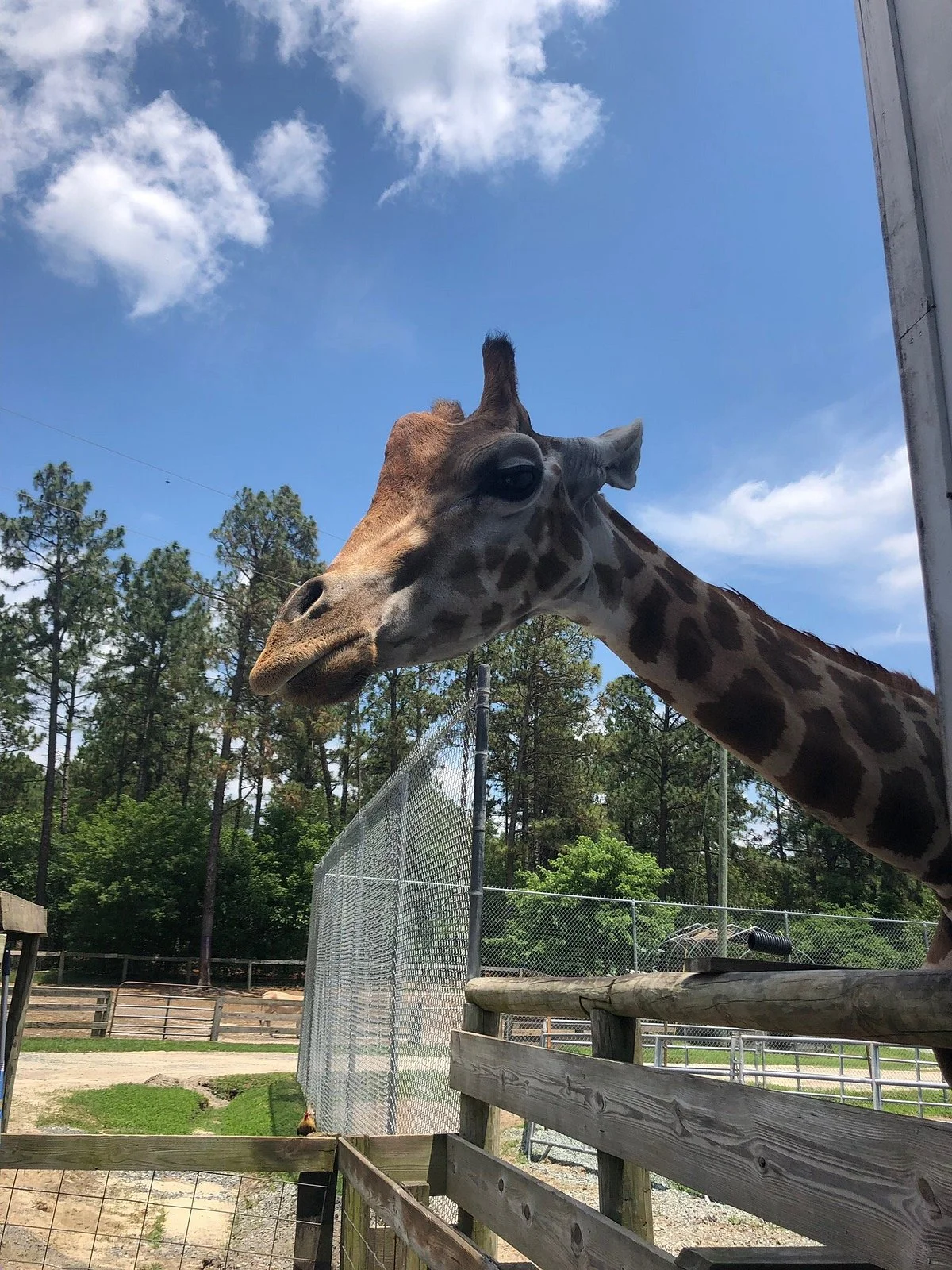 Aloha Safari Zoo