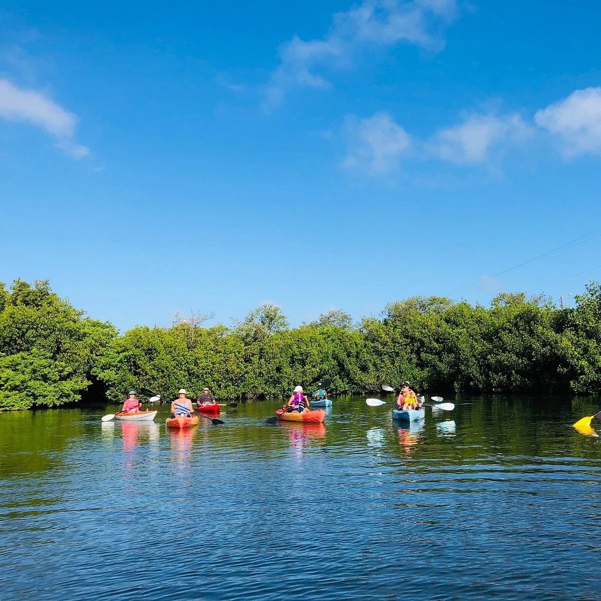 Clam Bayou Nature Park