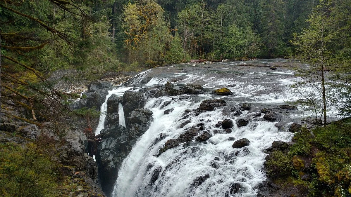 Englishman River Falls Provincial Park