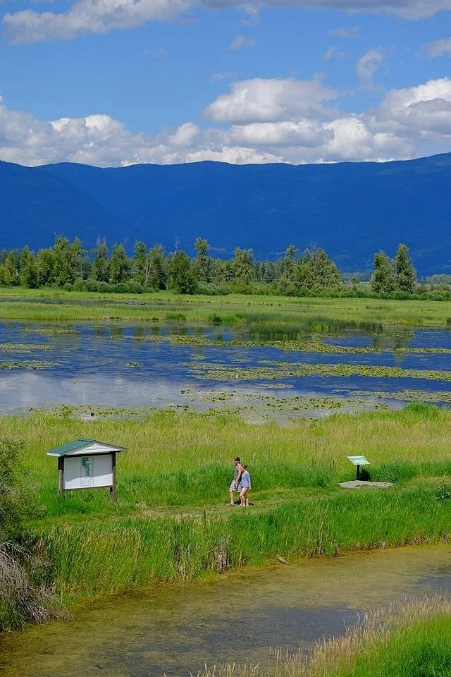 Kootenay-Columbia Discovery Centre
