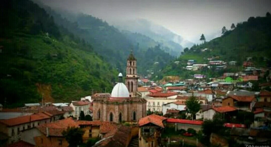 Mariposa Monarca