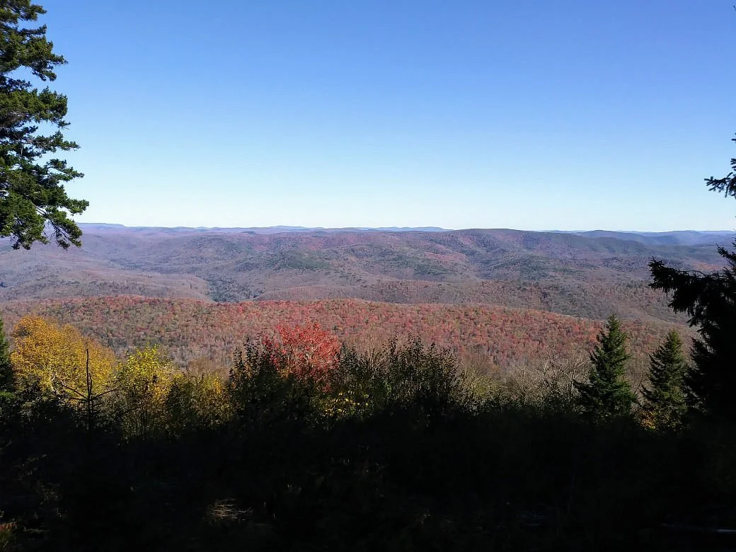 Gaudineer Scenic Area