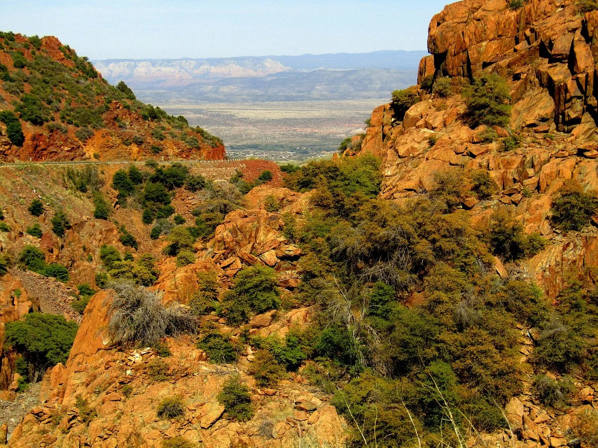 Prescott National Forest