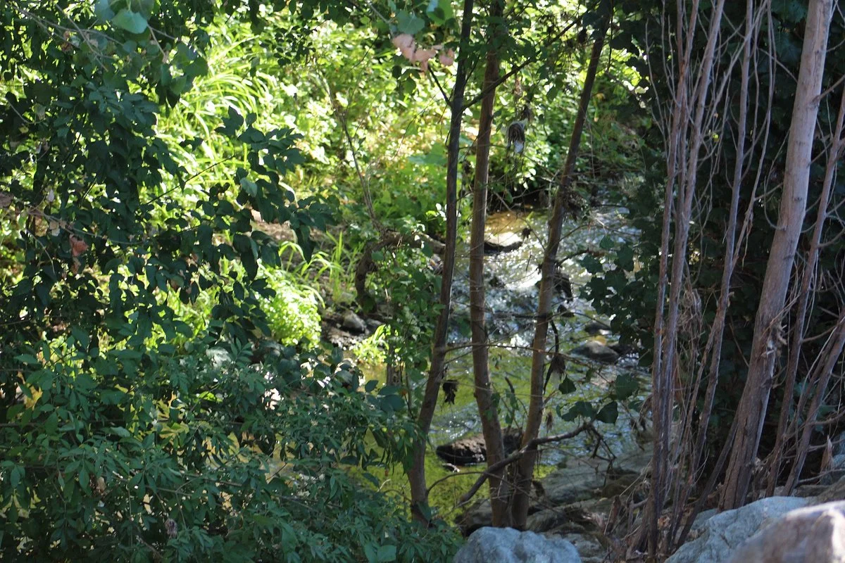 Alamo Creek Bike Trail