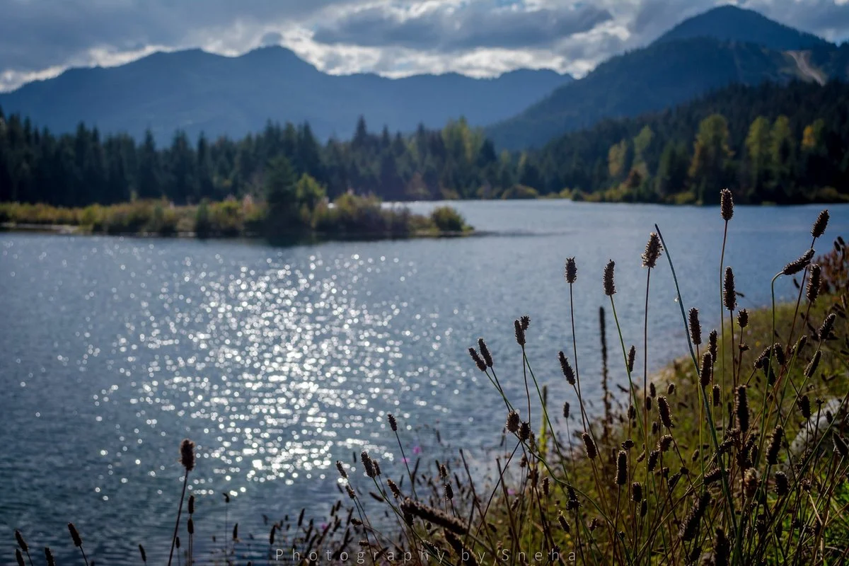 Gold Creek Pond Trail