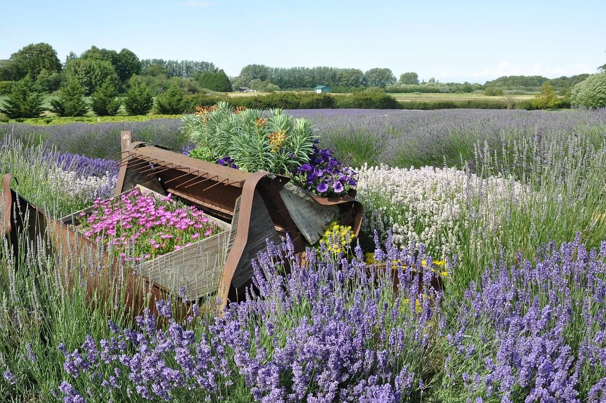 Jardin du Soleil