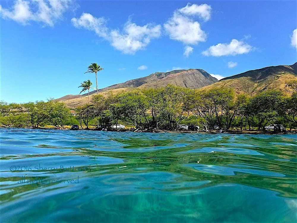 Olowalu Beach