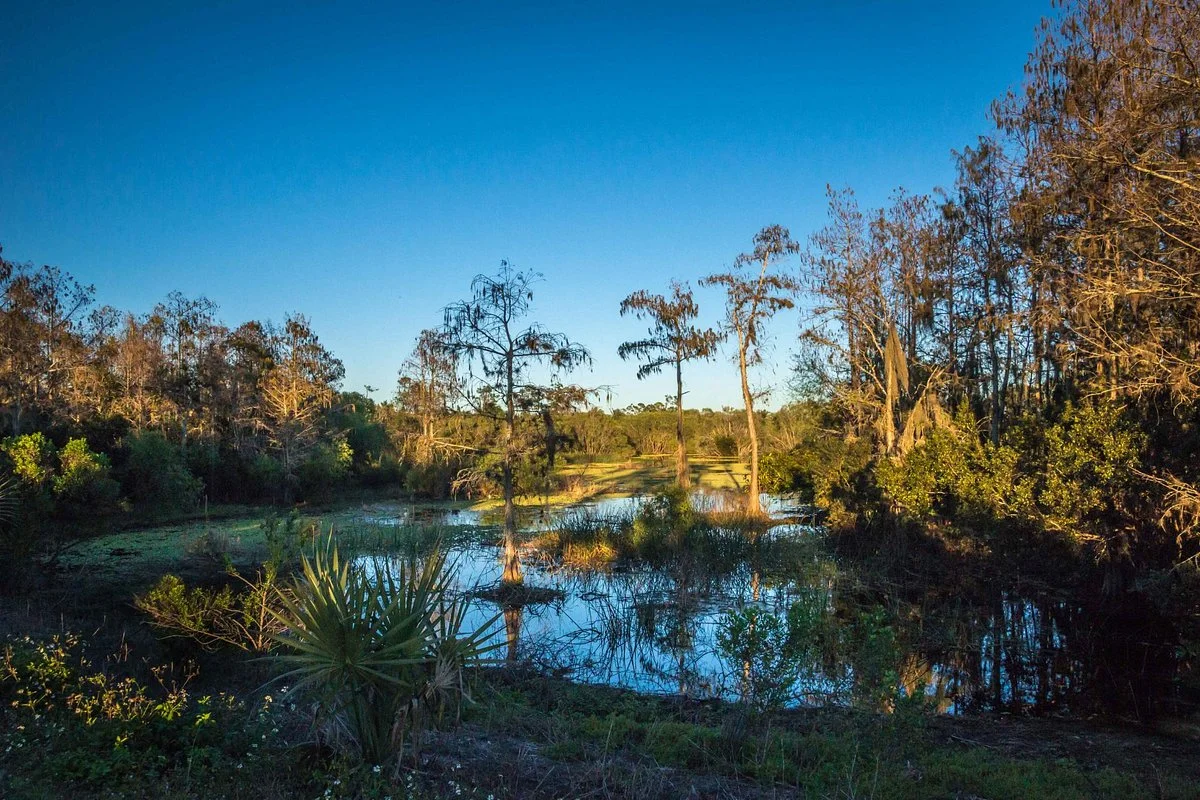 Eagle Lakes Community Park