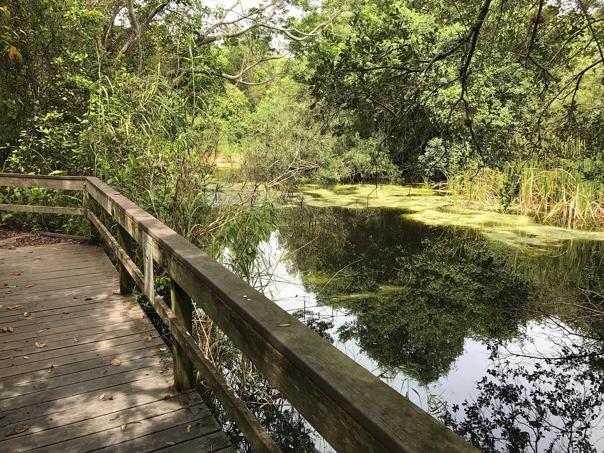Gumbo Limbo Trail