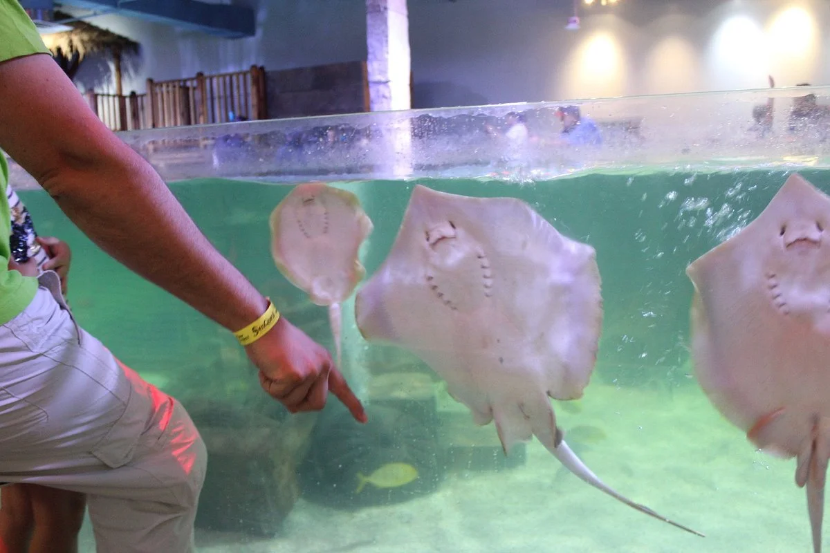 SeaQuest