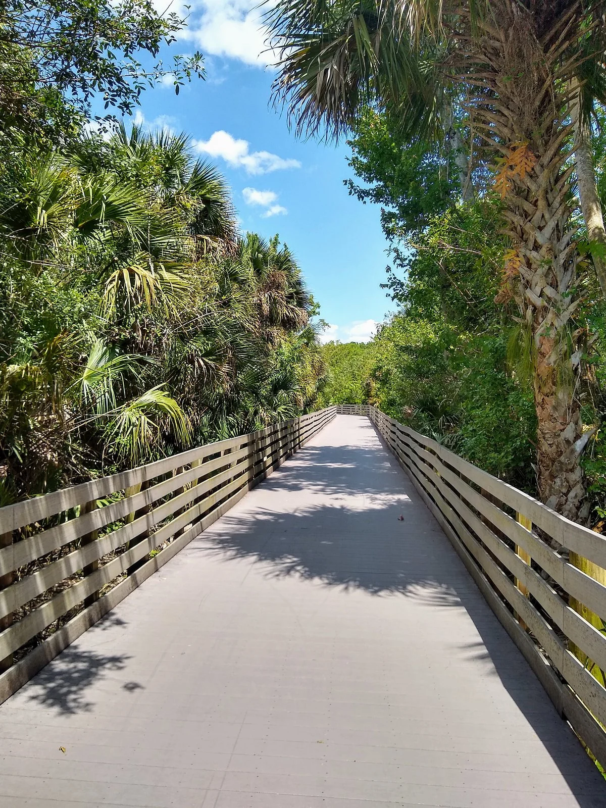 Brevard Zoo Linear Park