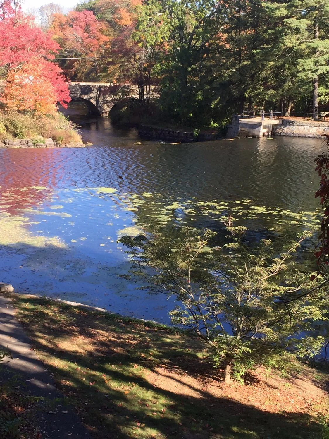 South Natick Dam Park