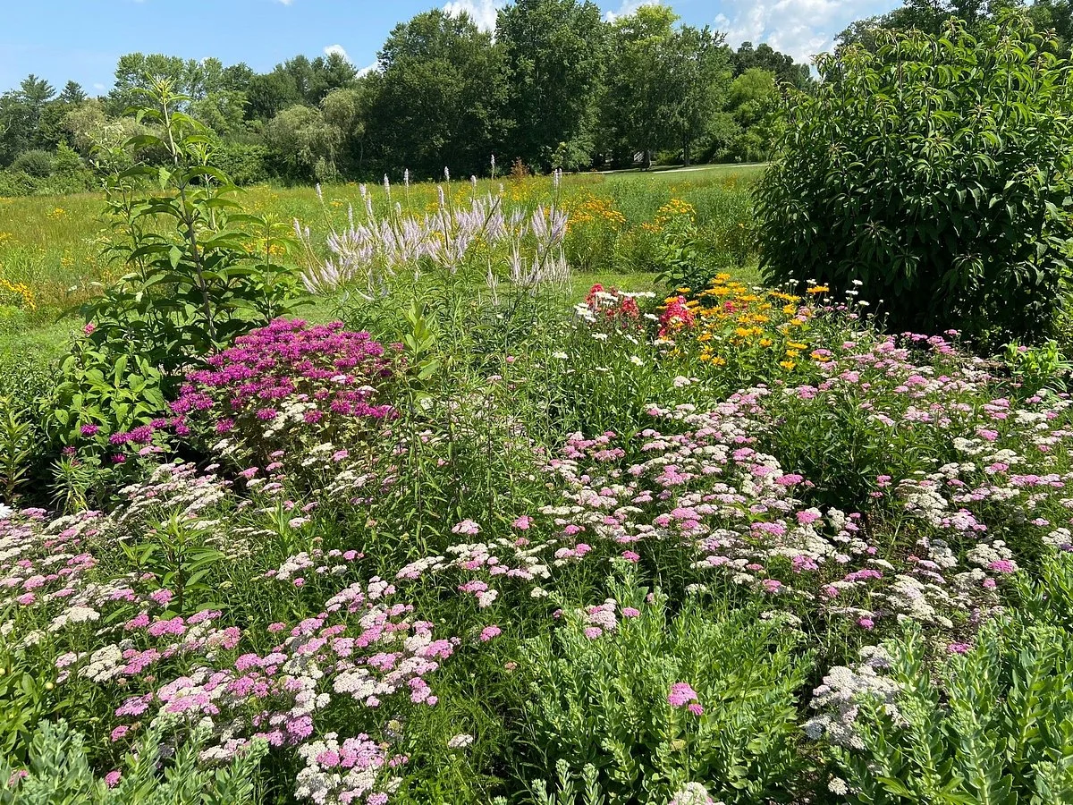 The Park at Flat Rock