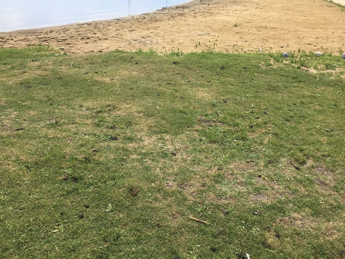 Wabamun Waterfront Park