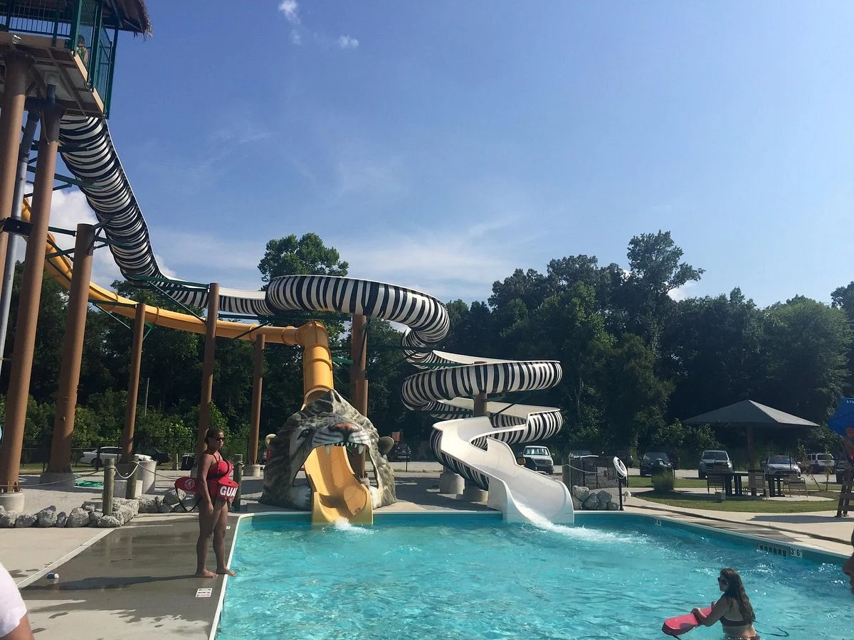 Lion's Water Adventure