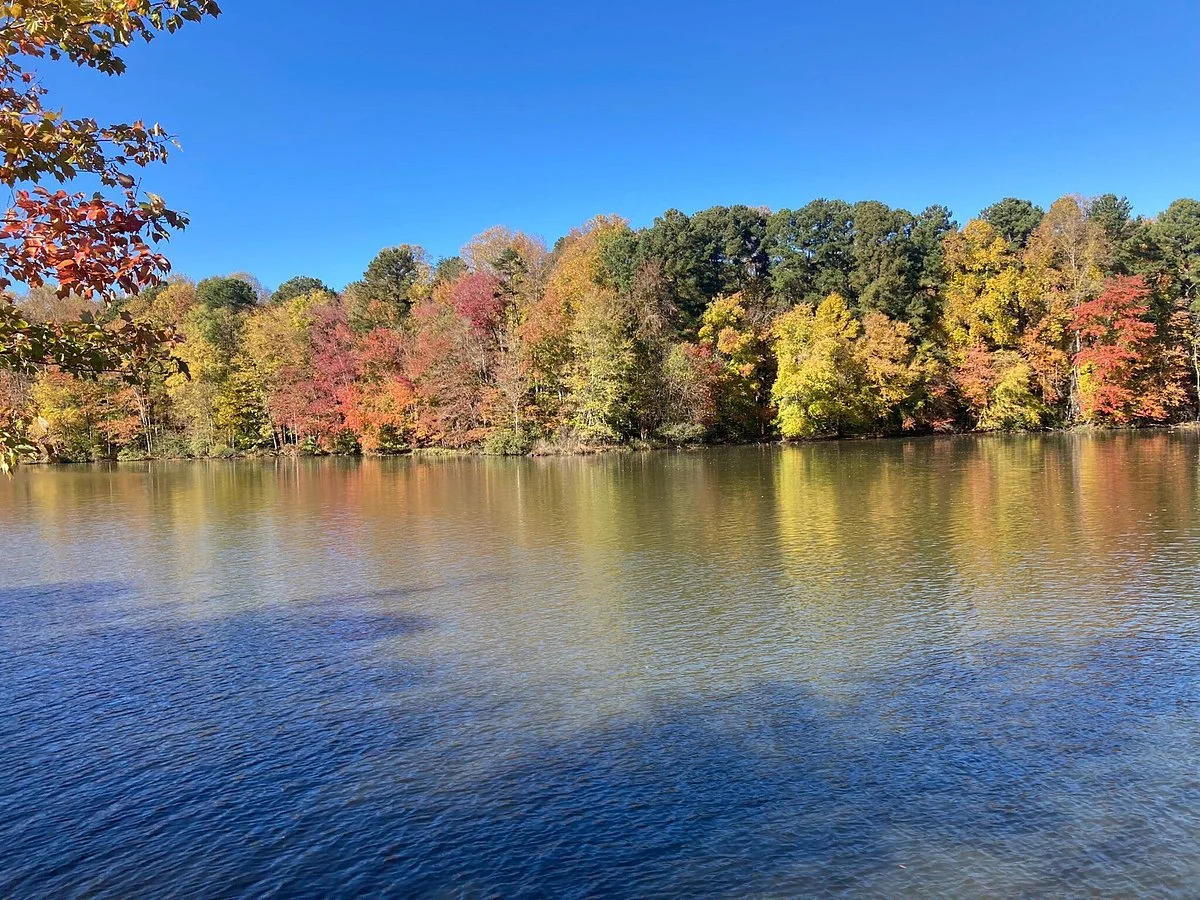 Lake Brandt Marina
