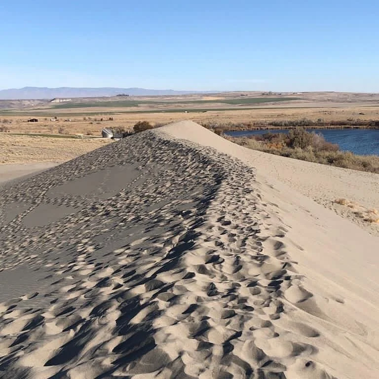 Bruneau Dunes Observatory