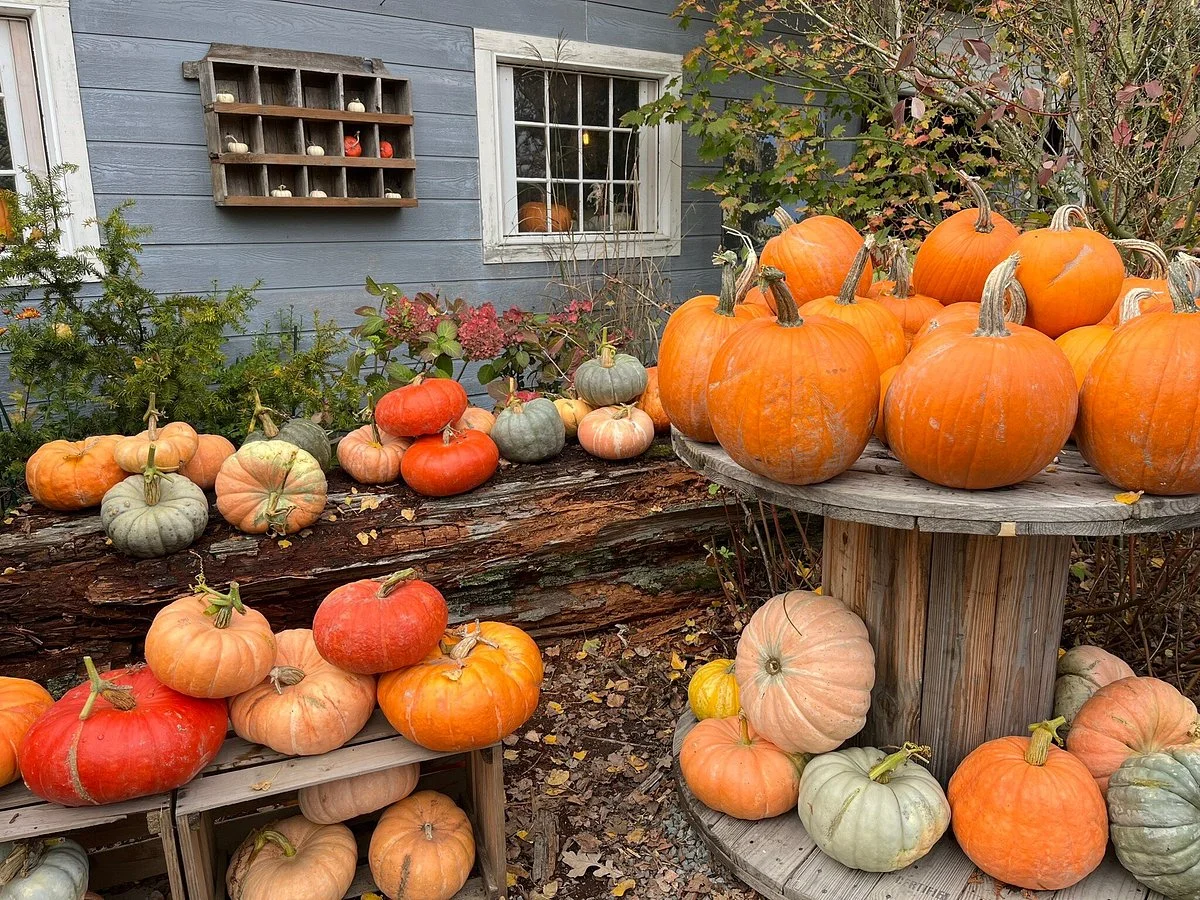 Gordon Skagit Farms