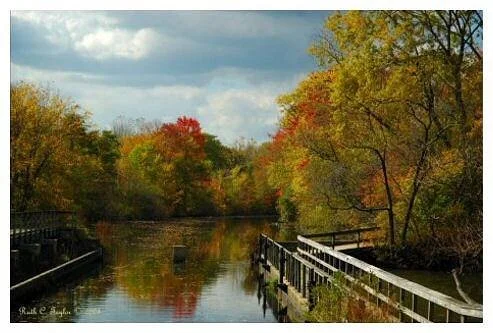 Delaware and Raritan Canal State Park