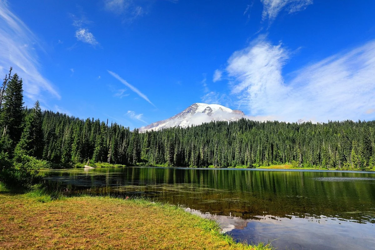 Mount Rainier National Park