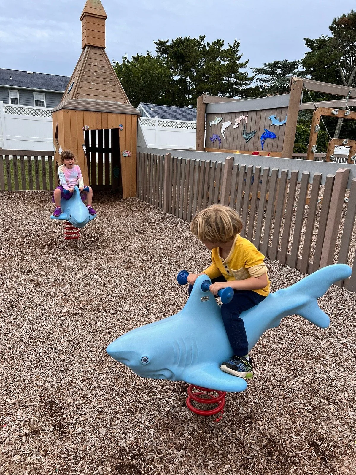 Shark Park