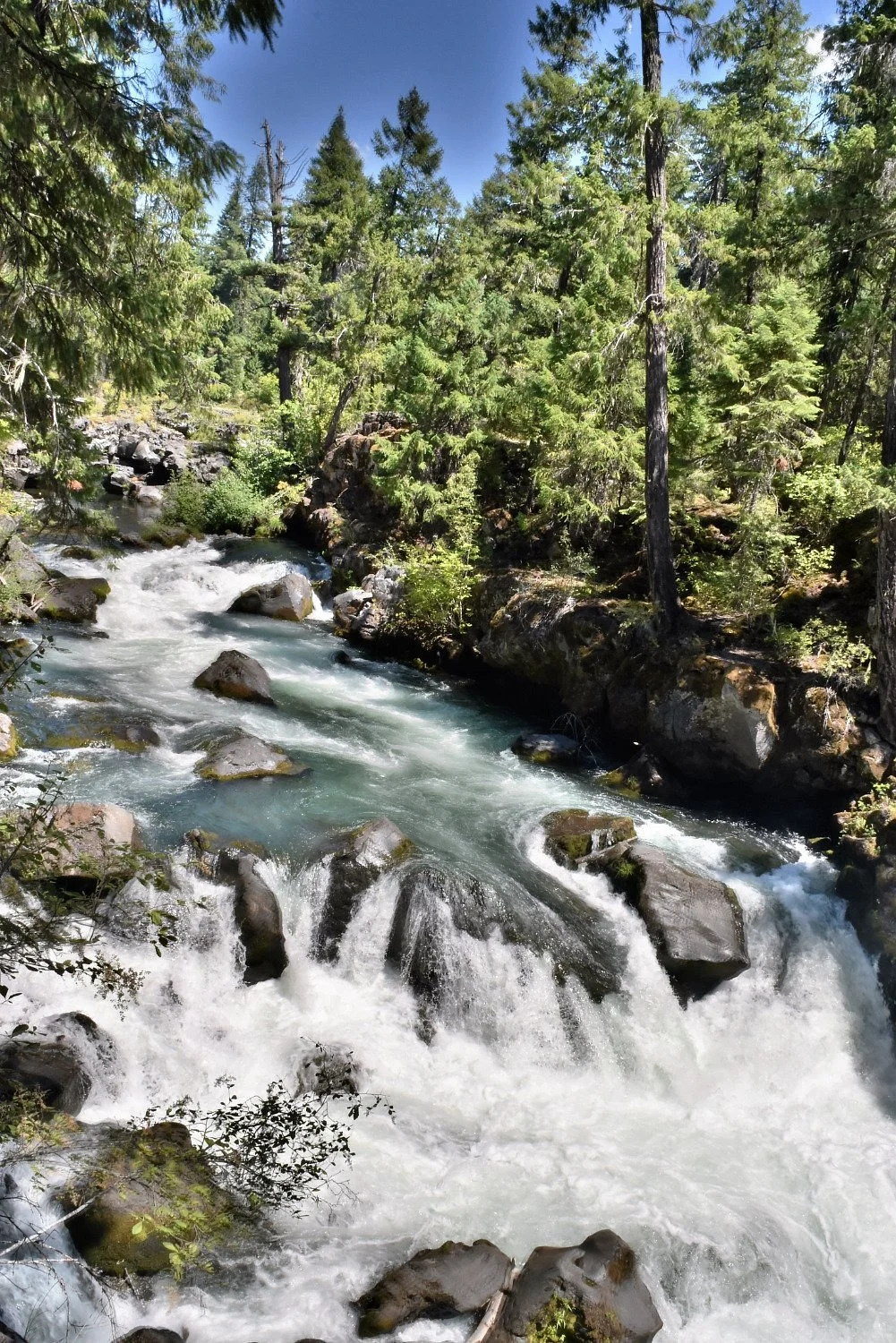 Rogue River Gorge Viewpoint