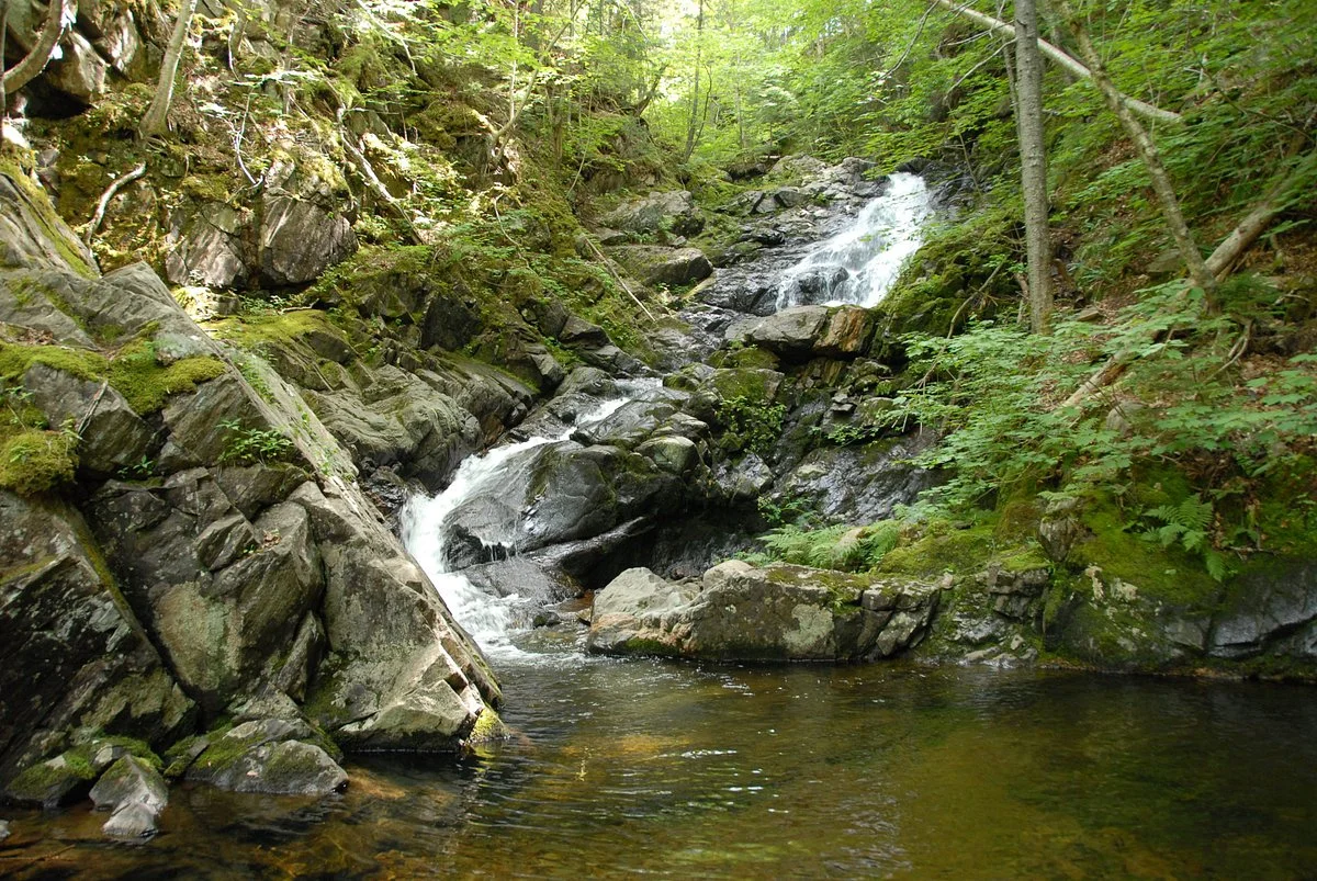 MacIntosh Brook Trail