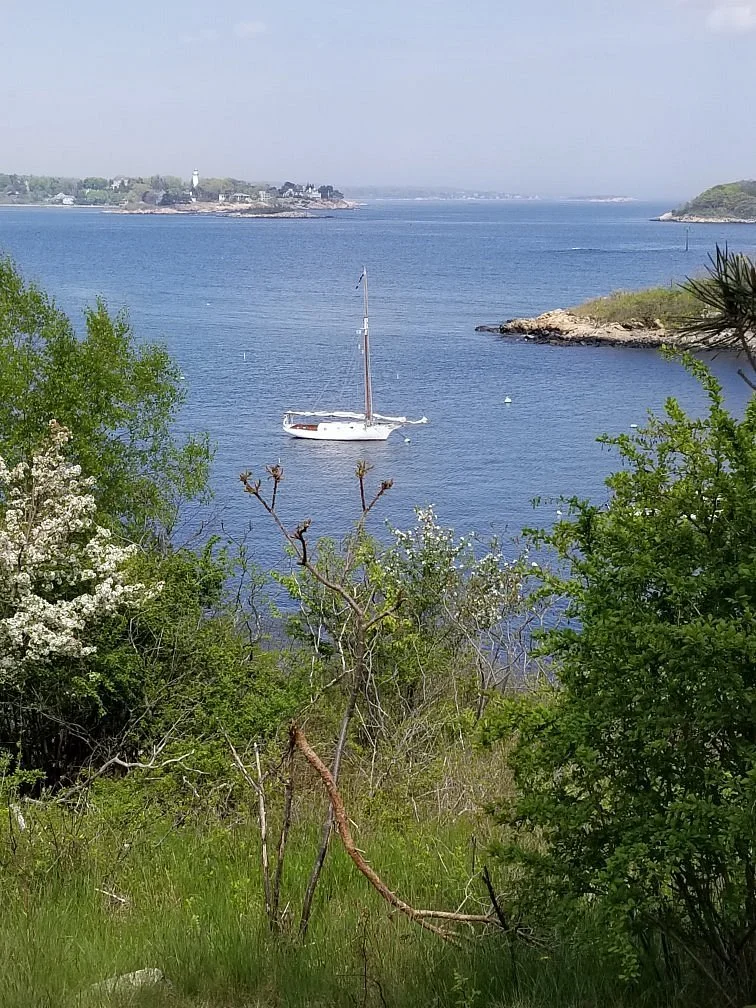 Misery Islands