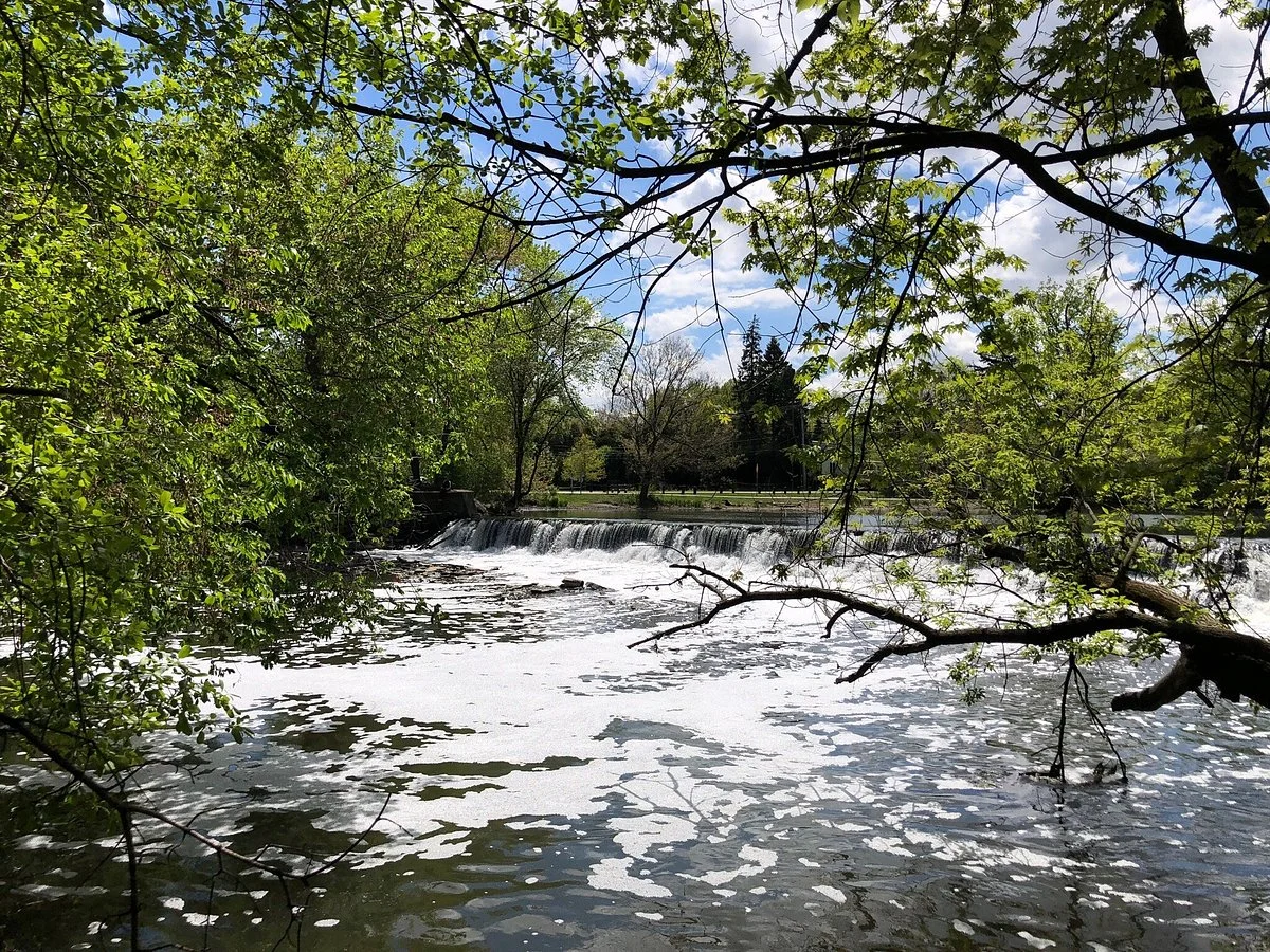 Fullersburg Woods Nature Education Center