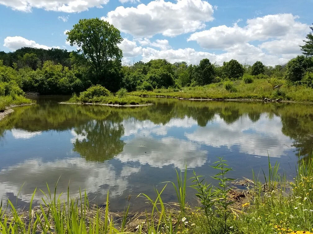 Willowbrook Wildlife Center