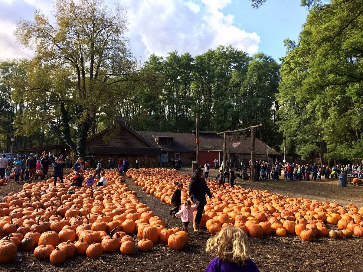 Powers Farm Market