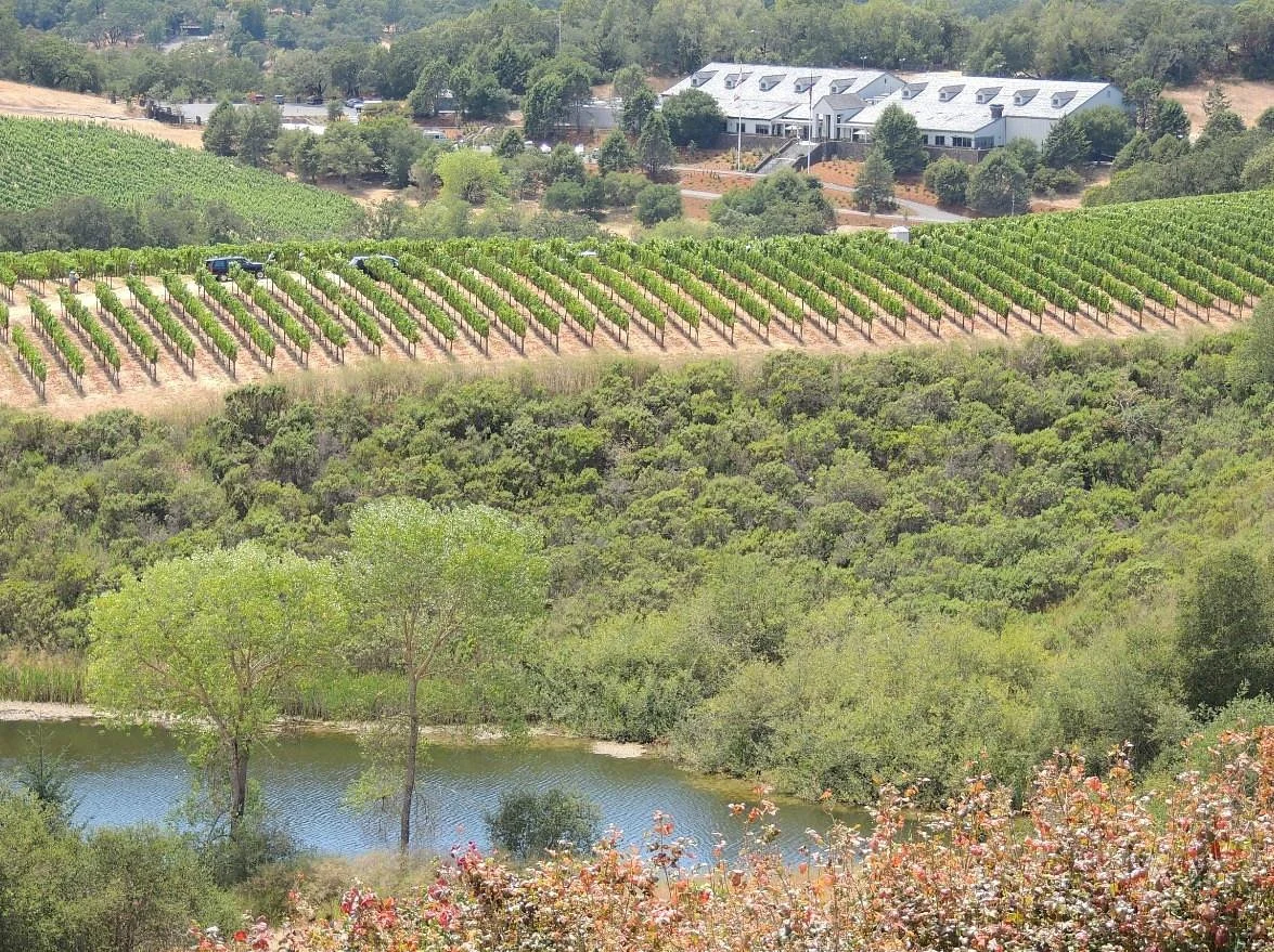 Chalk Hill Winery