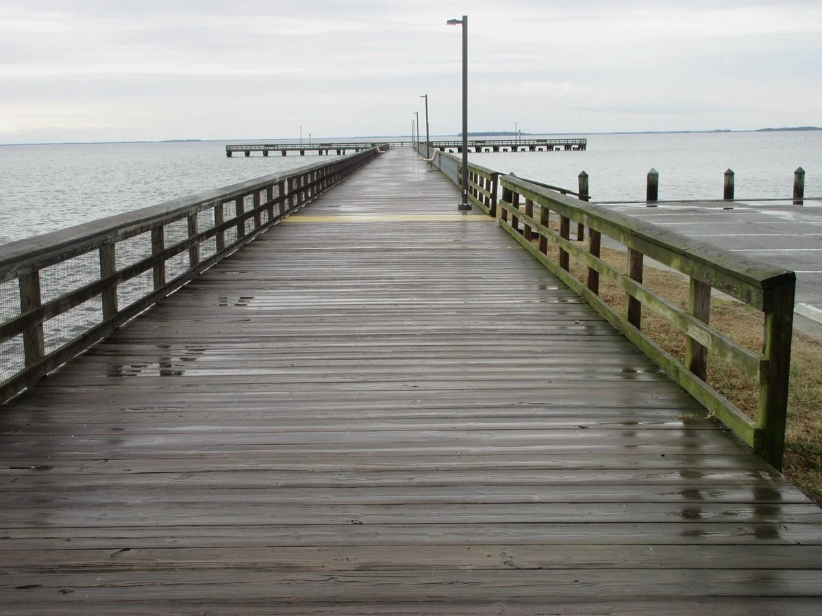 Kent Island South Trail