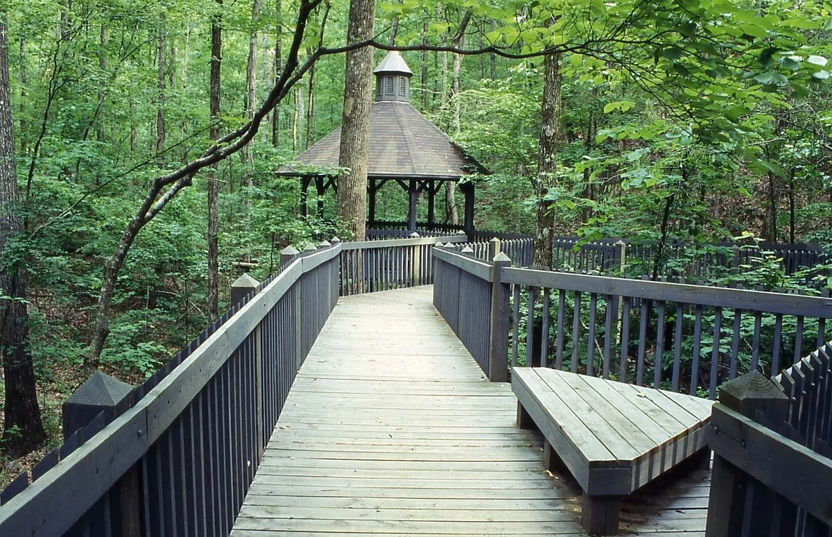 Alabama Wildlife Center