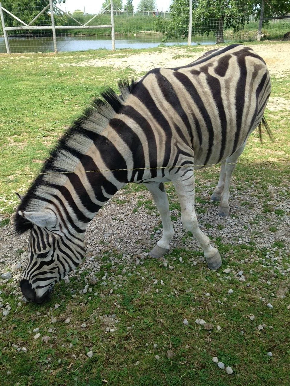 Greenview Aviaries Park and Zoo