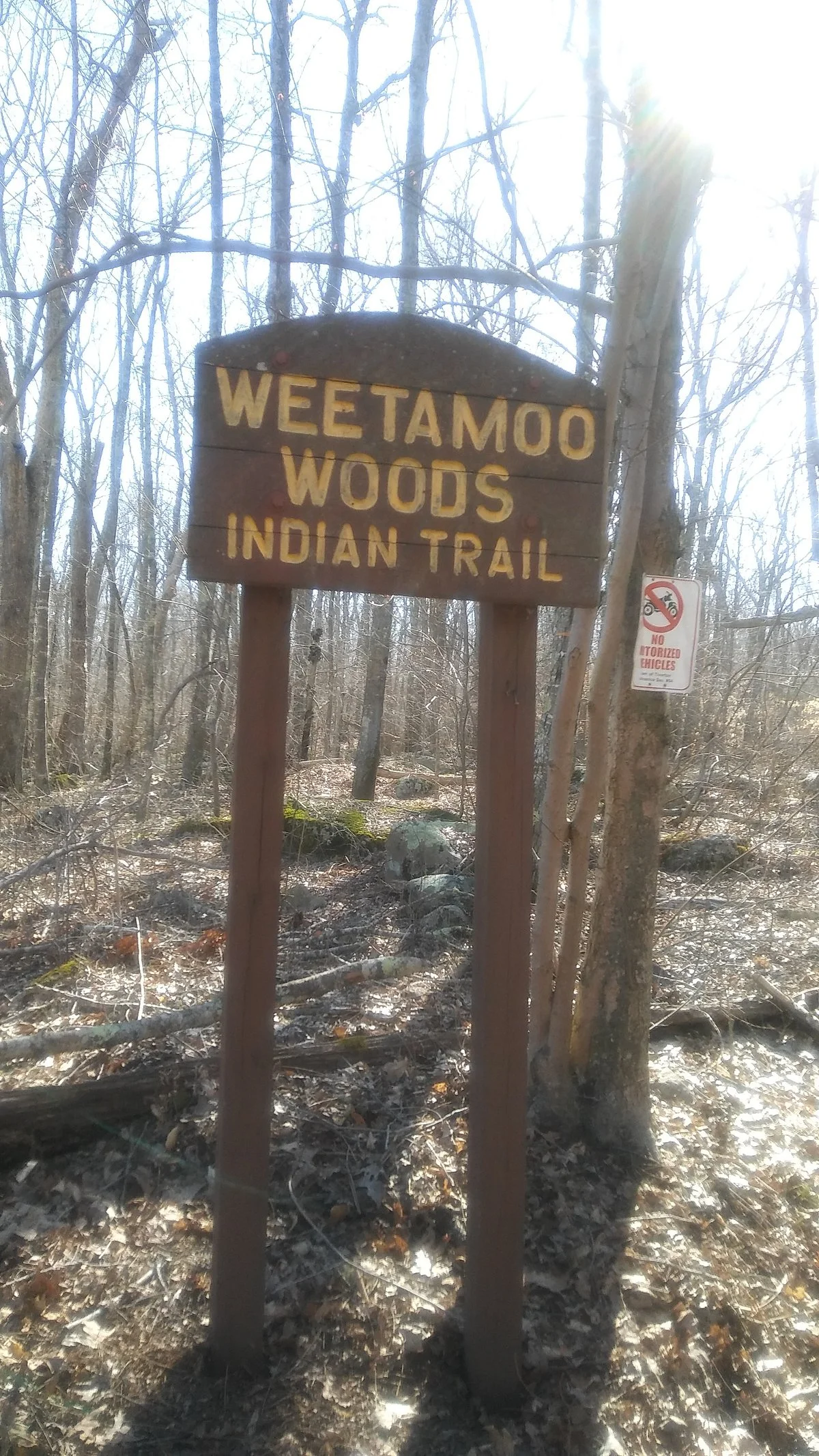 Weetamoo Woods & Pardon Gray Preserve