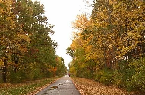 Vestal Rail Trail