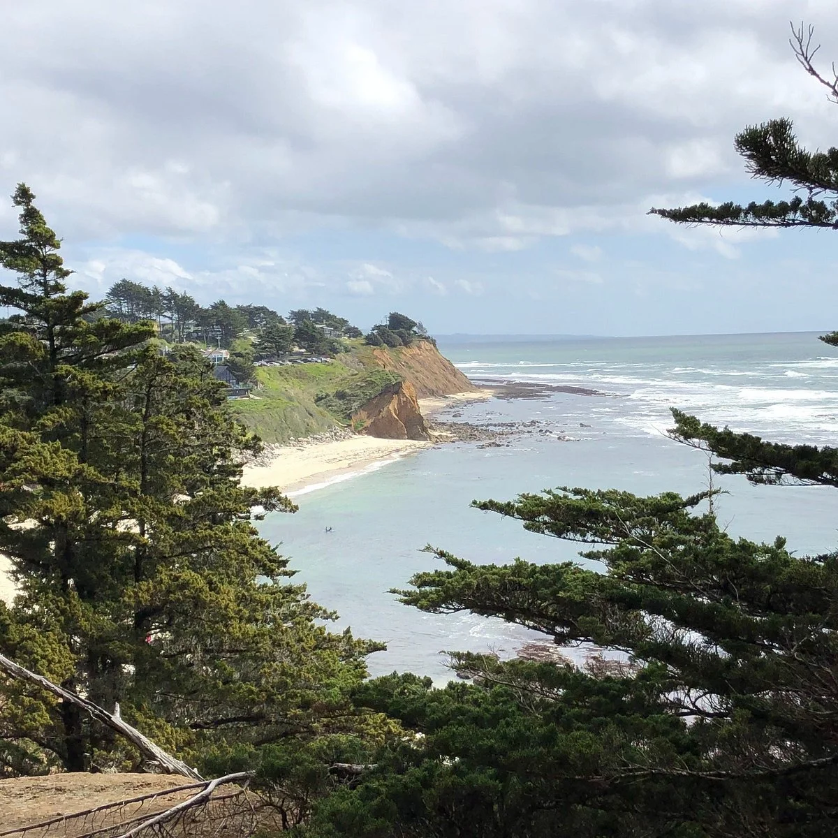 Fitzgerald Marine Reserve