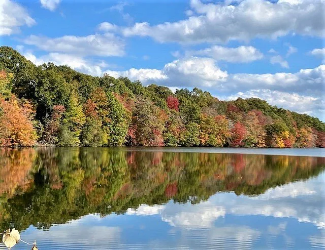 Blydenburgh County Park