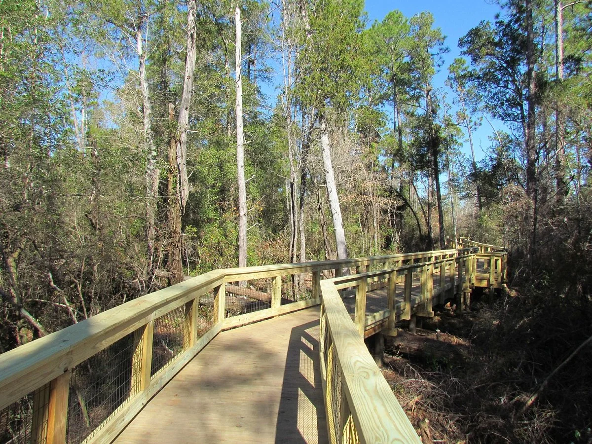 Arcadia Mill Archaeological Site